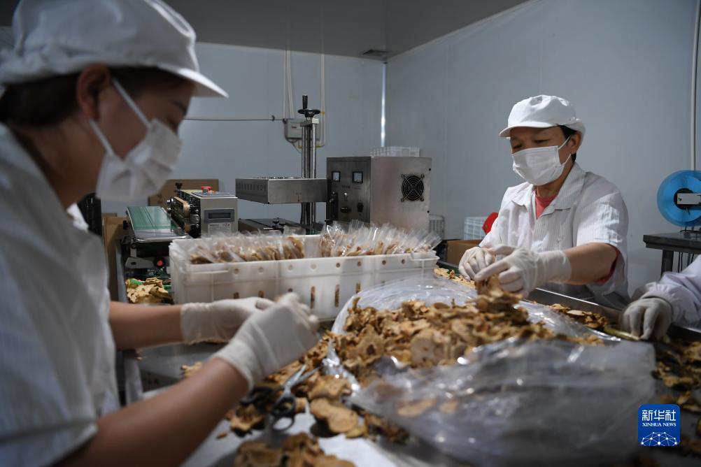 白菜全网讯